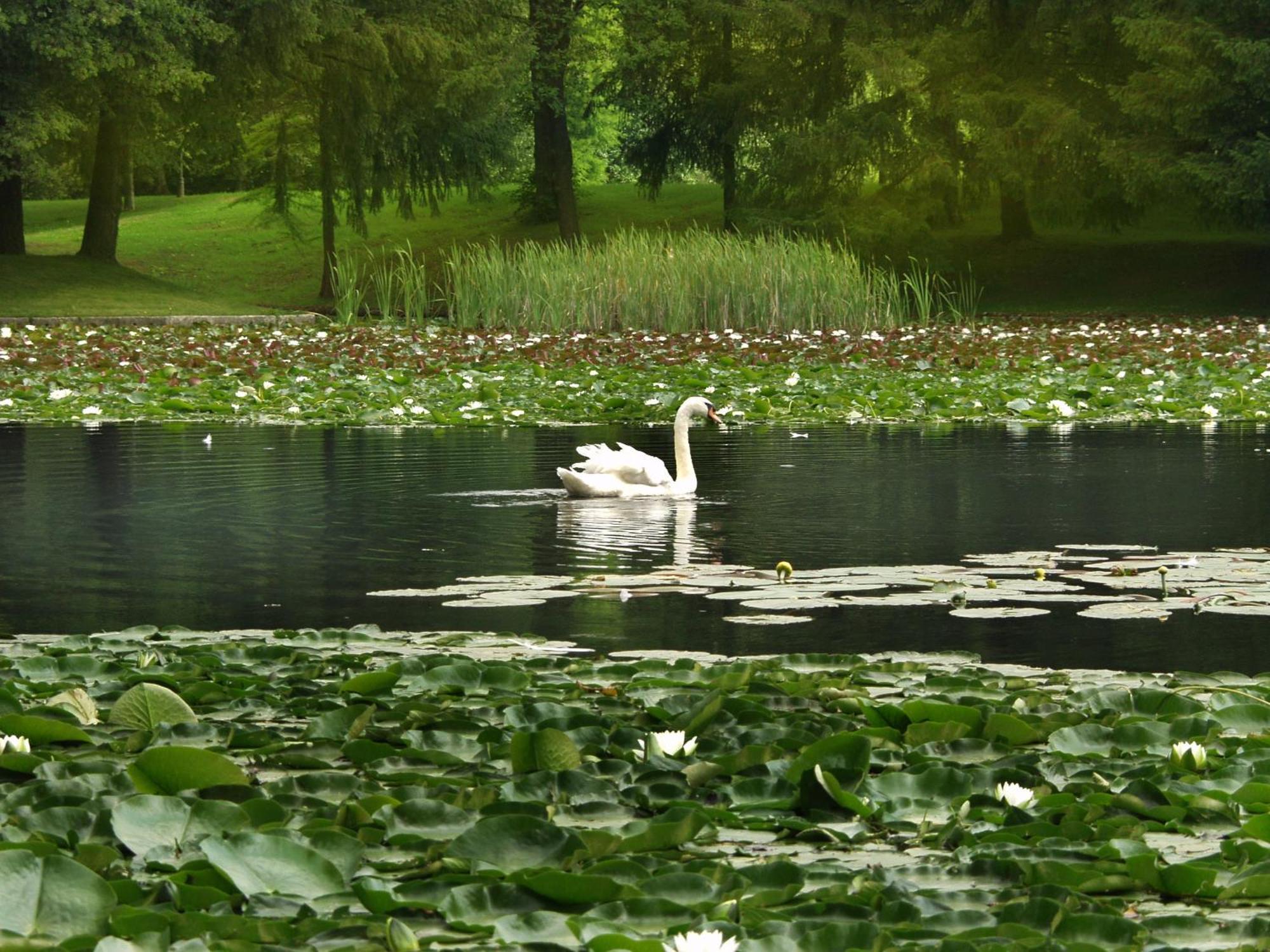 Elegans Hotel Brdo คราน ภายนอก รูปภาพ